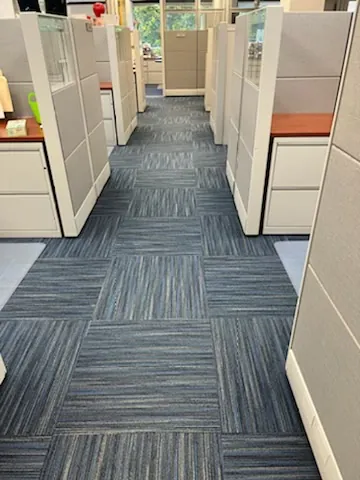 Blue carpet tiles in a cubicle area.