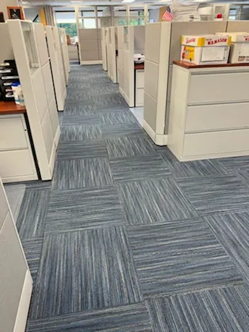 Blue carpet tiles in a cubicle workspace.