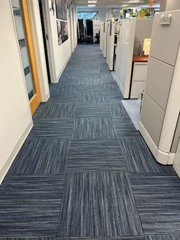 Blue carpet tiles in an open cubicle floor.