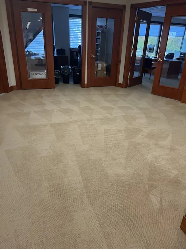 Office carpet with glass doors.